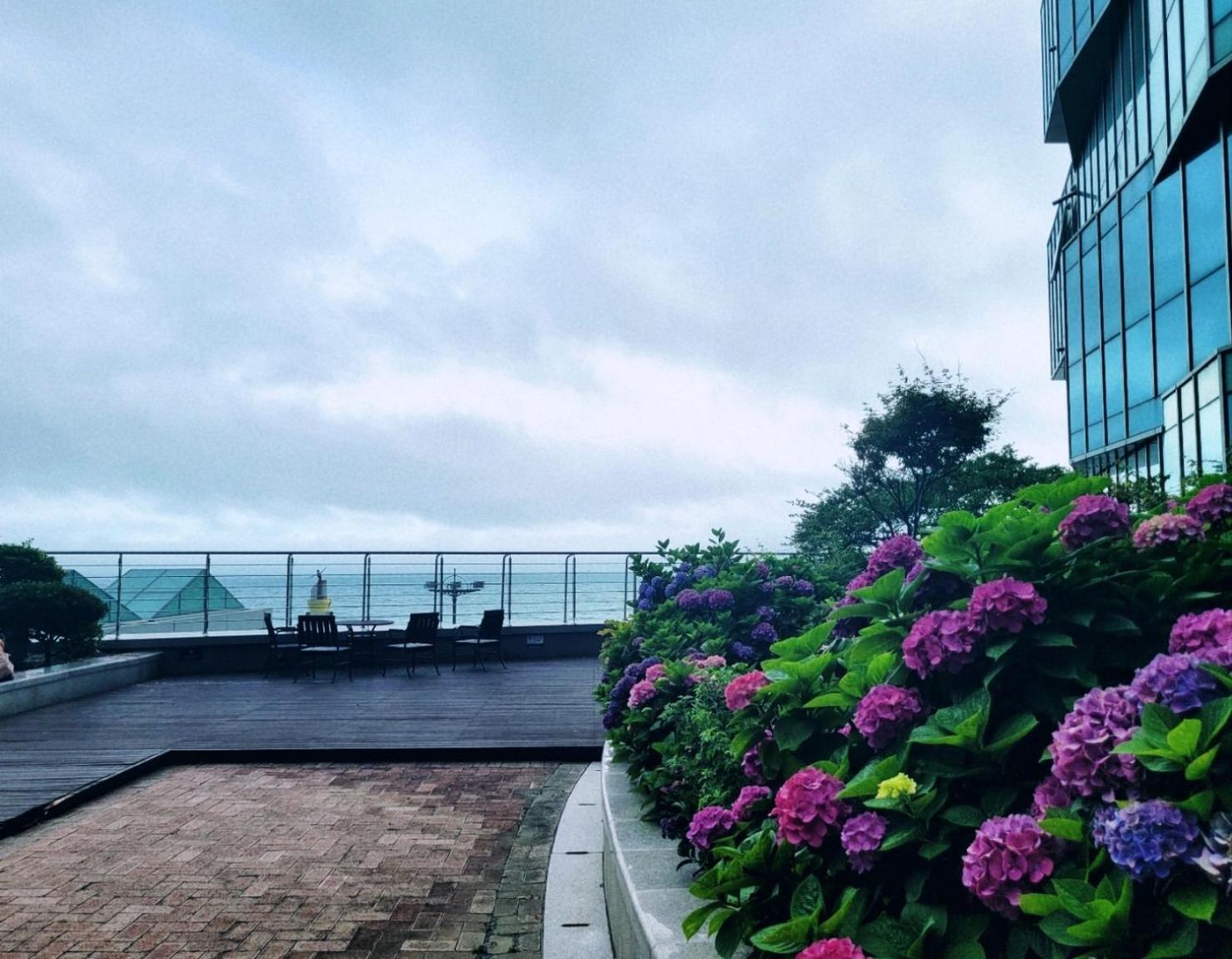 Pale De Cz Condo Busan Bagian luar foto
