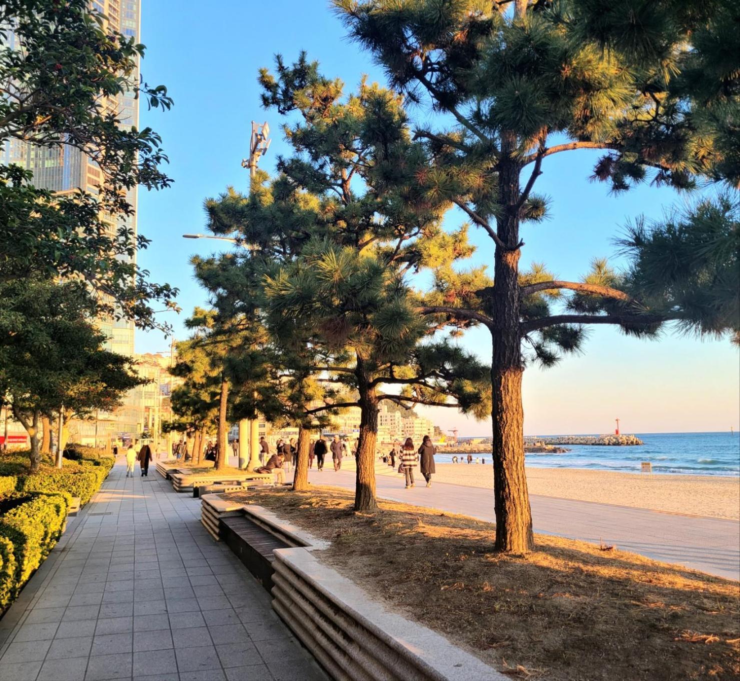 Pale De Cz Condo Busan Bagian luar foto
