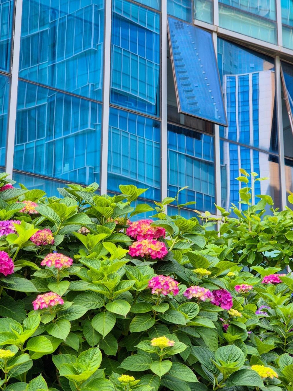 Pale De Cz Condo Busan Bagian luar foto